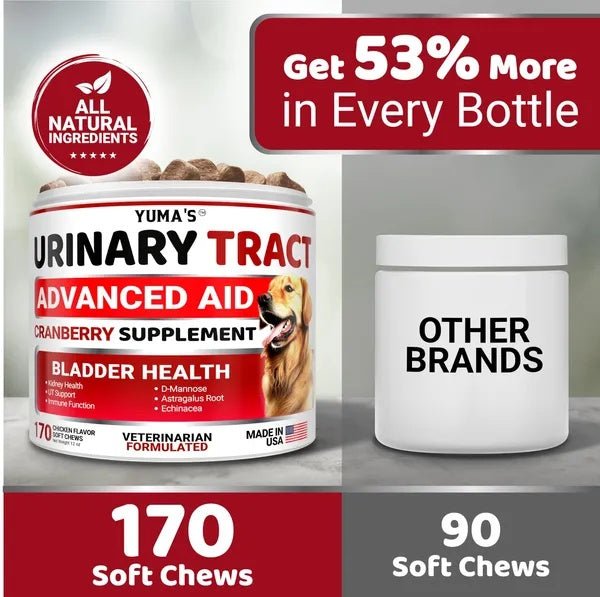 Dog UTI Treatment 170 Treats Cranberry Supplement For Dogs Bladder Control For Dogs - Mijn winkel