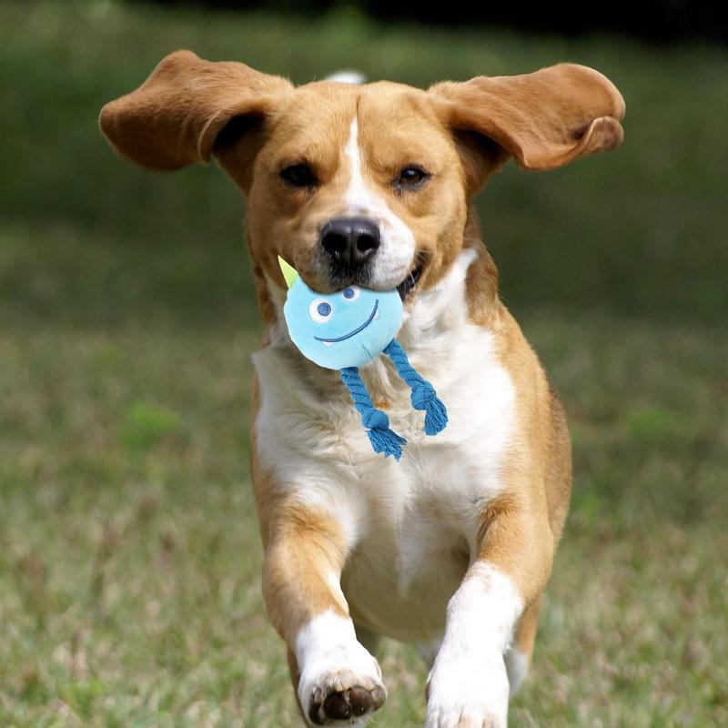 Squeaky Toys For Dogs Strong Knot Design Cartoon Chewable Teething Toys Decorative Multifunctional Relaxing Supplies Dog - Mijn winkel
