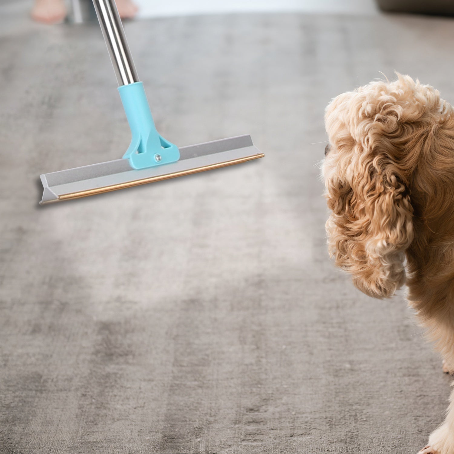 1Pc Pet Hair Removal Rake With 54.33in Adjustable Telescopic Rod Multi - Fabric Dog Cat Hair Scraper Lint Shaver For Carpet Rug Clothes Couch - Mijn winkel