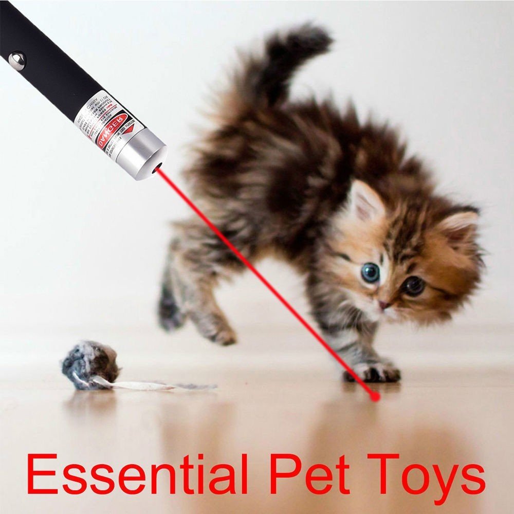 650nm Red Laser Pointer Pen Light Visible Single Beam AAA Lazer Torch 10PCS 9900 Miles Mini Small Teaching Pen Light Pet Toys - Mijn winkel