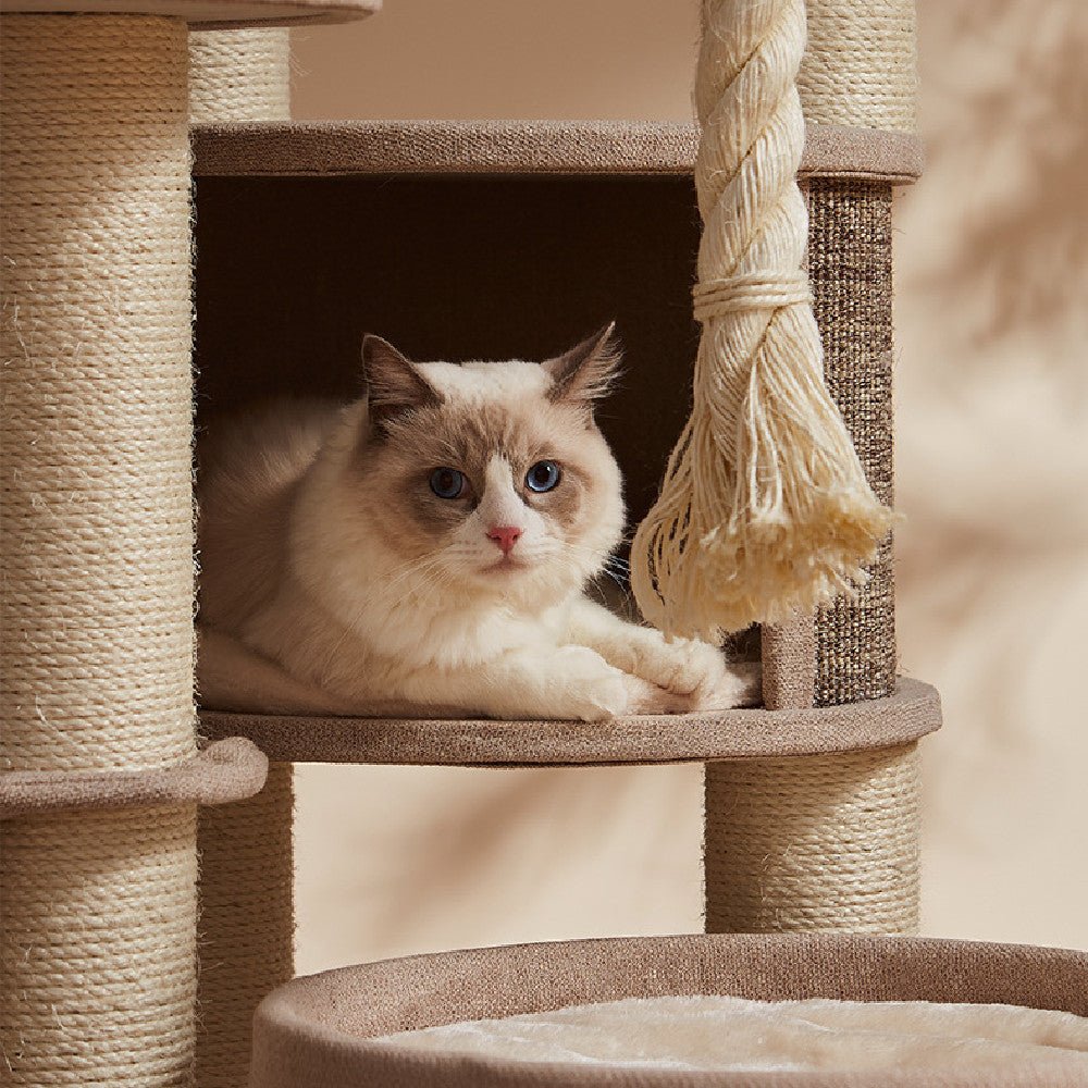Deluxe Cat Jumping Platform Toys - Mijn winkel