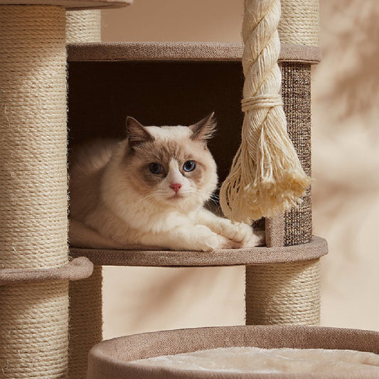 Deluxe Cat Jumping Platform Toys - Mijn winkel