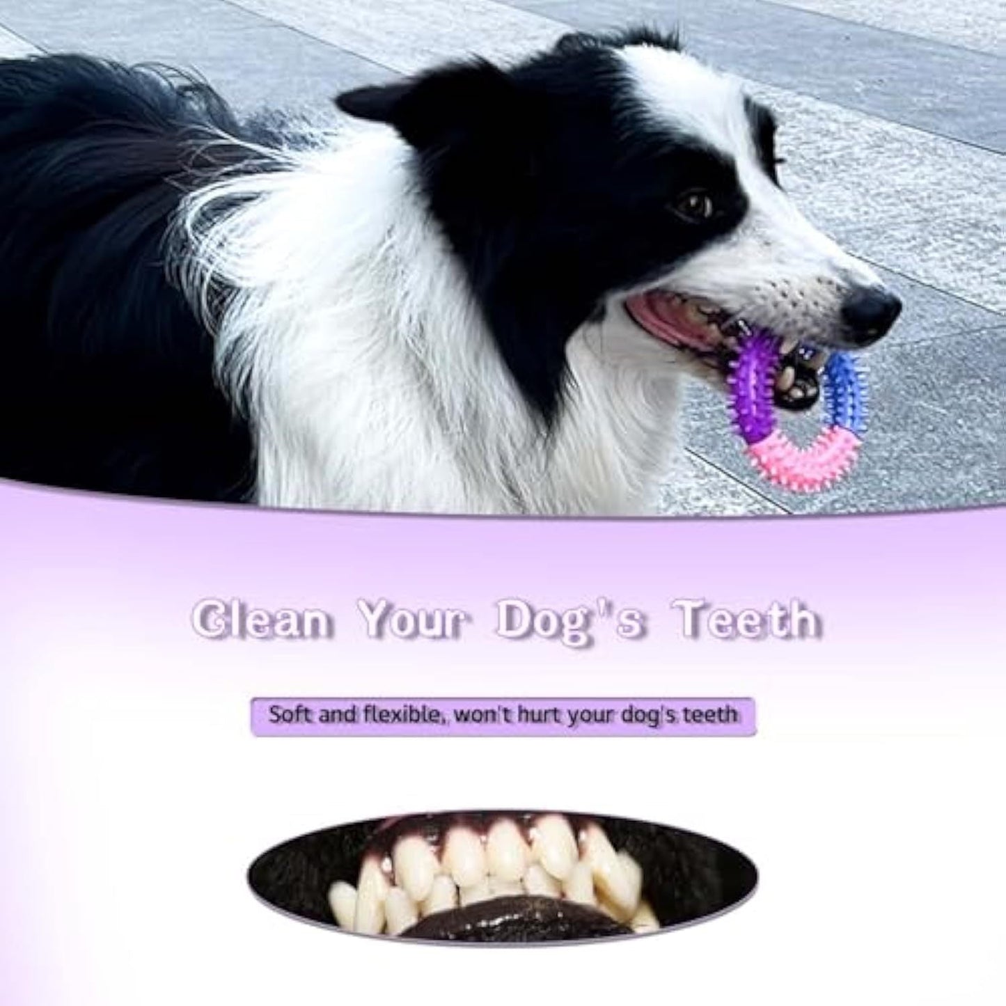 Dog Chew Toys Ring Dog Teething Toys Rubber Puppy Teething Toys Pet Toys For Small Medium Large Dogs - Mijn winkel