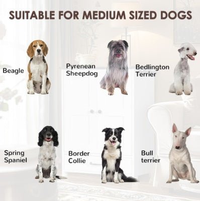Dog Feeding Station, Dog Food Storage Cabinet With Hidden Dog Bowls, Adjustable Panel, Hooks, For Medium Sized Dogs, White - Mijn winkel
