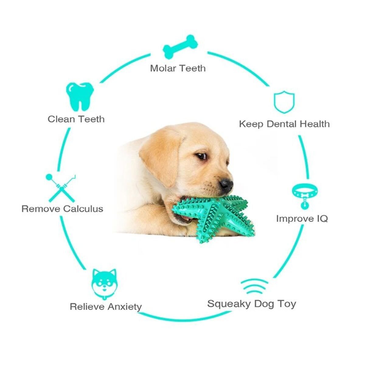 Dog Toys For Large Dogs Tooth Cleaning Chew Funny Interactive Training Starfish Toy Accessories Squeaky Toys TPR Toys - Mijn winkel