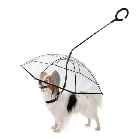 Dog Umbrella - Mijn winkel