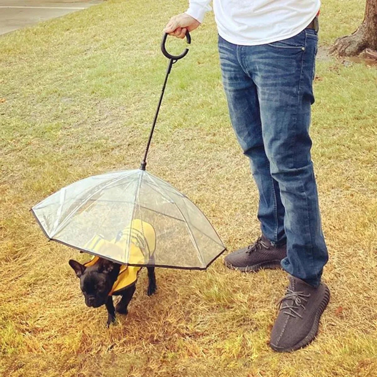 Dog Umbrella - Mijn winkel