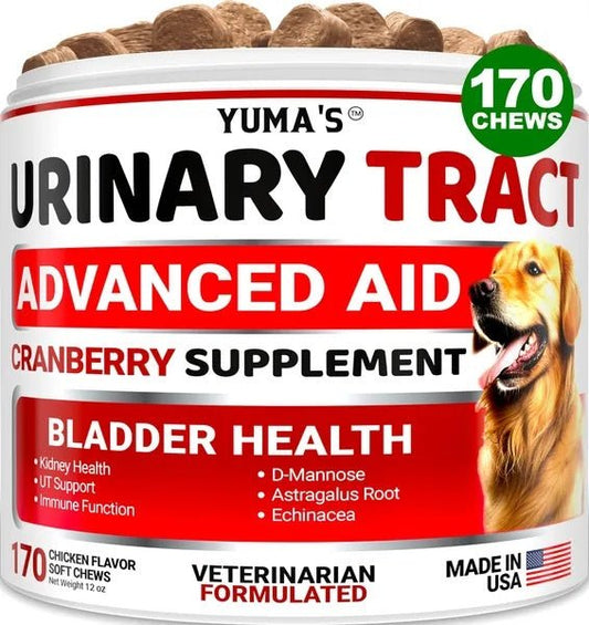 Dog UTI Treatment 170 Treats Cranberry Supplement For Dogs Bladder Control For Dogs - Mijn winkel