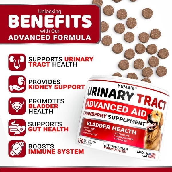 Dog UTI Treatment 170 Treats Cranberry Supplement For Dogs Bladder Control For Dogs - Mijn winkel