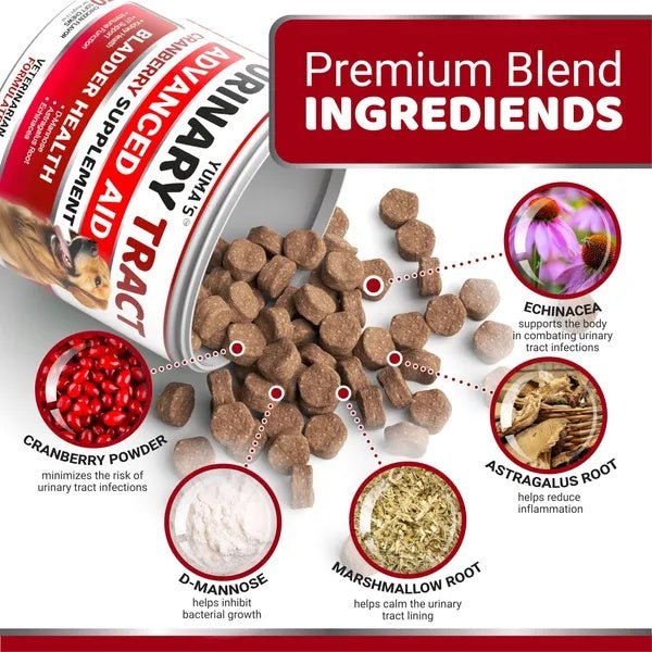 Dog UTI Treatment 170 Treats Cranberry Supplement For Dogs Bladder Control For Dogs - Mijn winkel