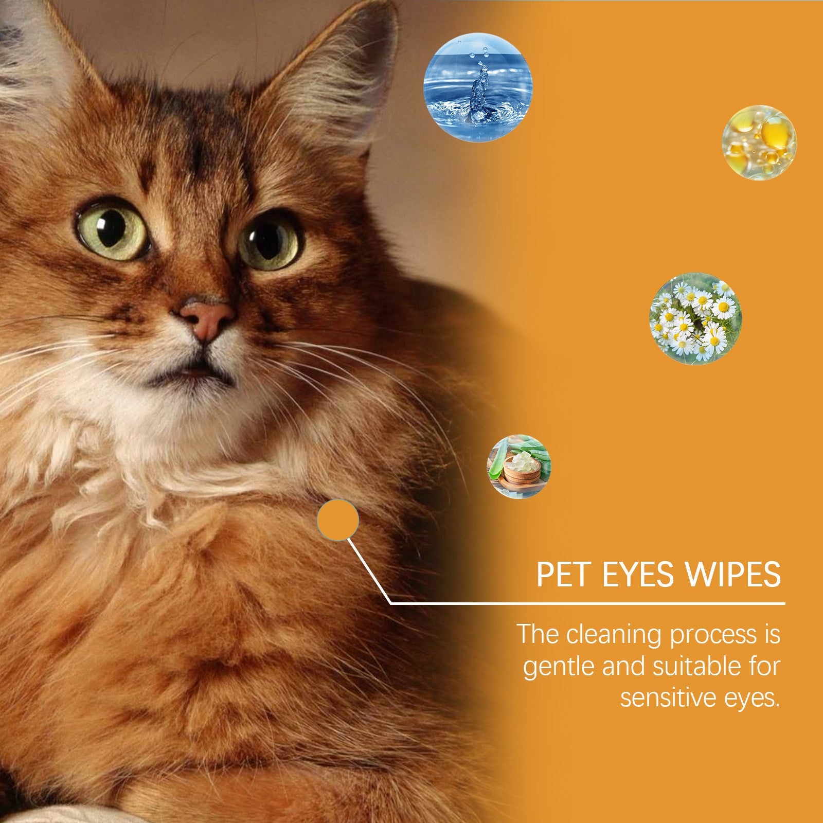 Dogs And Cats Eyes Wet Wipes For Dogs To Remove Tears - Mijn winkel