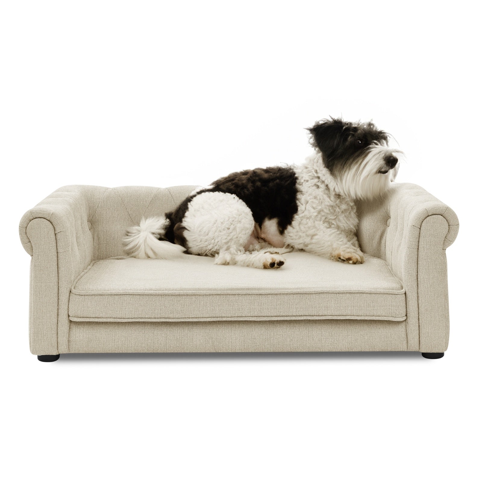 Elegant Rectangle Pet Bed For Medium And Large Dogs, Durable Elevated Dog Sofa Bed, Comfortable Dog - Mijn winkel