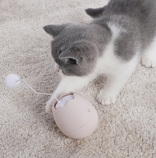 Funny cat artifact cat toys - Mijn winkel