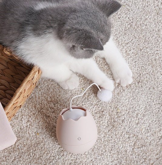 Funny cat artifact cat toys - Mijn winkel