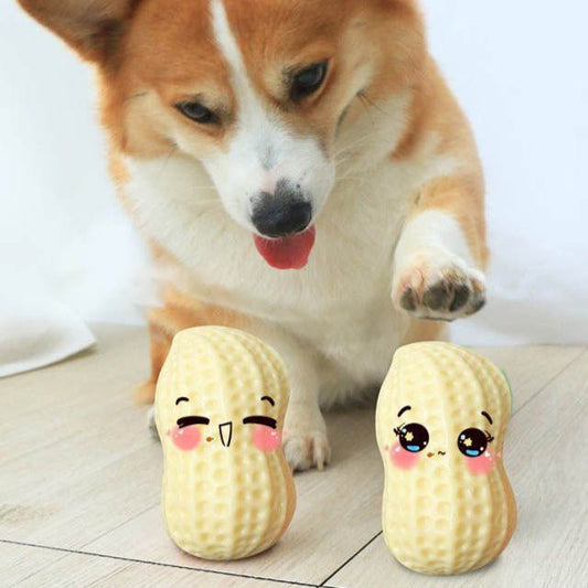 Funny Pet Dog Squeaky Toys For Small Middle Dogs Bite Resistant Puppy Cat Dogs Toys Pets Rubber Peanut Clean Tooth Chew Toy - Mijn winkel