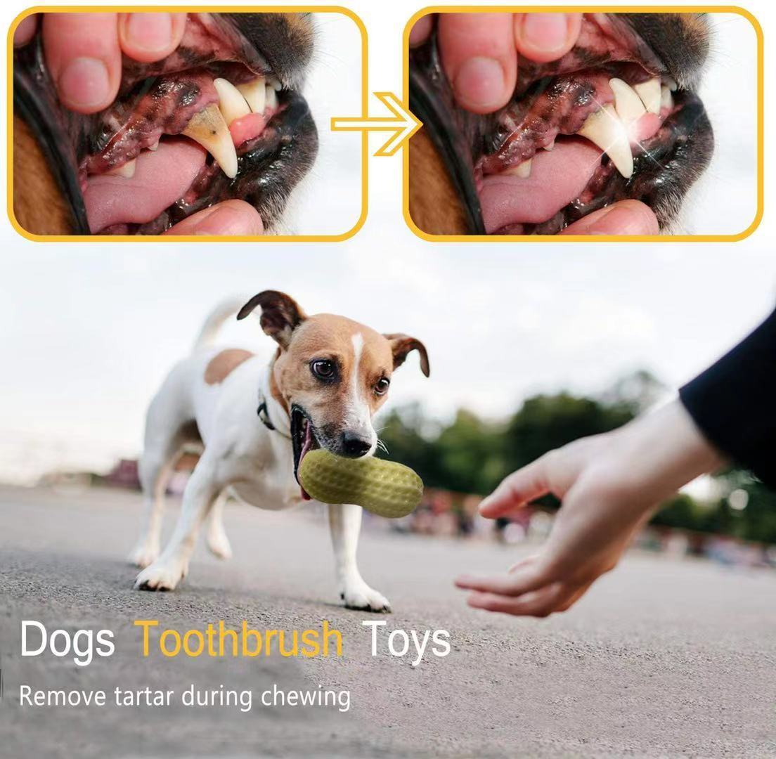 Funny Pet Dog Squeaky Toys For Small Middle Dogs Bite Resistant Puppy Cat Dogs Toys Pets Rubber Peanut Clean Tooth Chew Toy - Mijn winkel