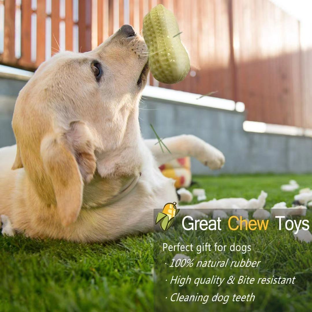 Funny Pet Dog Squeaky Toys For Small Middle Dogs Bite Resistant Puppy Cat Dogs Toys Pets Rubber Peanut Clean Tooth Chew Toy - Mijn winkel