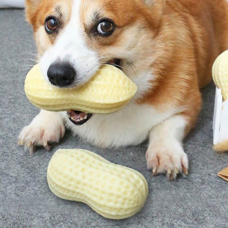 Funny Pet Dog Squeaky Toys For Small Middle Dogs Bite Resistant Puppy Cat Dogs Toys Pets Rubber Peanut Clean Tooth Chew Toy - Mijn winkel
