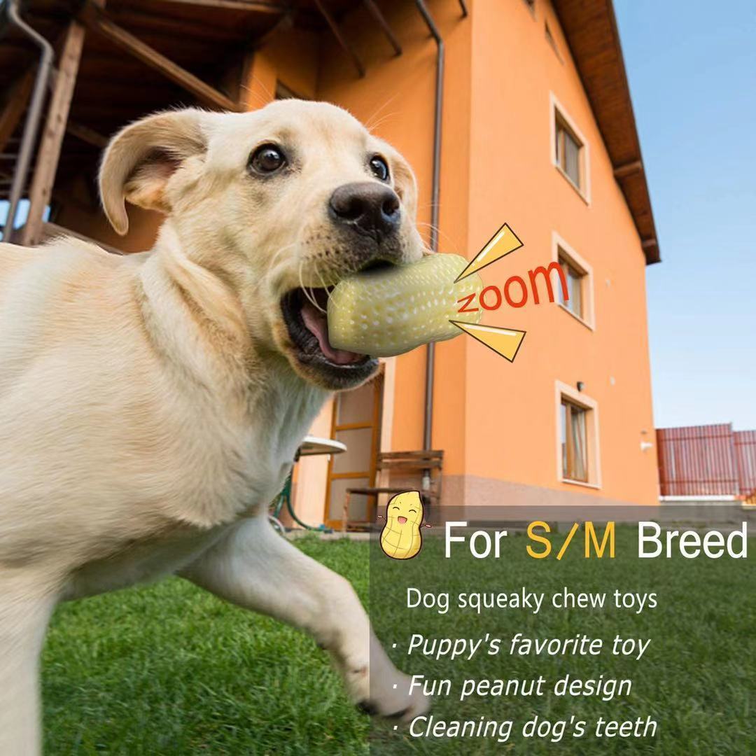 Funny Pet Dog Squeaky Toys For Small Middle Dogs Bite Resistant Puppy Cat Dogs Toys Pets Rubber Peanut Clean Tooth Chew Toy - Mijn winkel