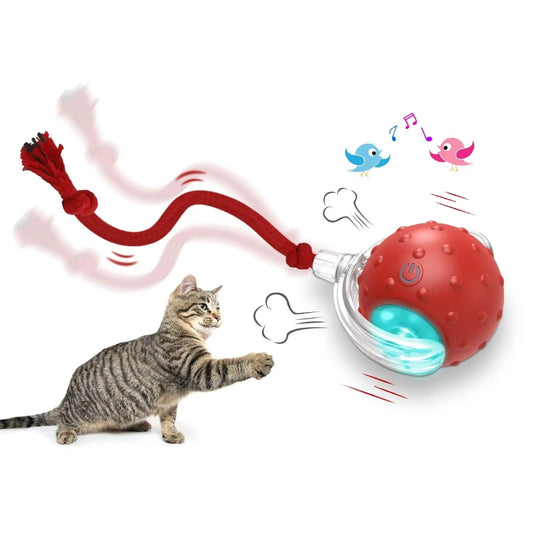 Interactive Cat Toy Ball Super Drive Cat Rolling Ball - Mijn winkel