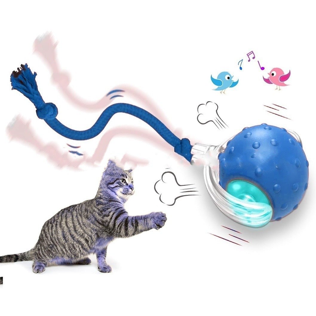 Interactive Cat Toy Ball Super Drive Cat Rolling Ball - Mijn winkel