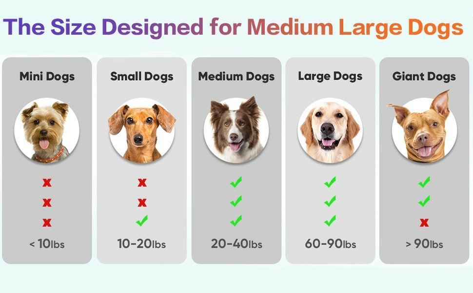 Interactive Dog Toys Ball, Automatic Rolling Toy, Lively Pet Ball For Medium ,Large Dogs To Relieve Boredom, Activated Automatic Motion Dog Balls Toy With LED Flash, USB Rechargeable Orange Purple - Mijn winkel