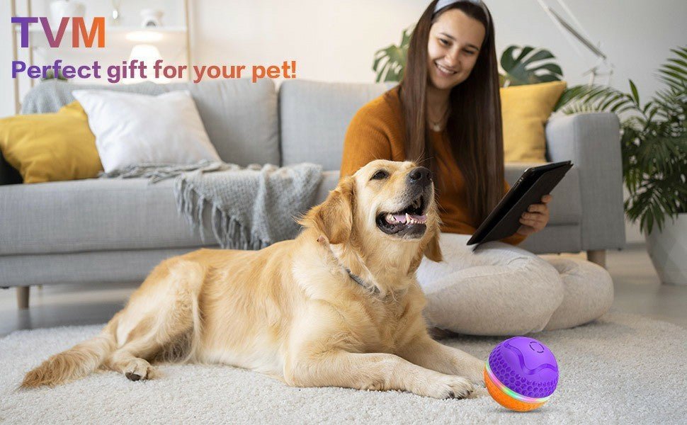 Interactive Dog Toys Ball, Automatic Rolling Toy, Lively Pet Ball For Medium ,Large Dogs To Relieve Boredom, Activated Automatic Motion Dog Balls Toy With LED Flash, USB Rechargeable Orange Purple - Mijn winkel
