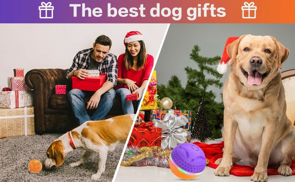 Interactive Dog Toys Ball, Automatic Rolling Toy, Lively Pet Ball For Medium ,Large Dogs To Relieve Boredom, Activated Automatic Motion Dog Balls Toy With LED Flash, USB Rechargeable Orange Purple - Mijn winkel