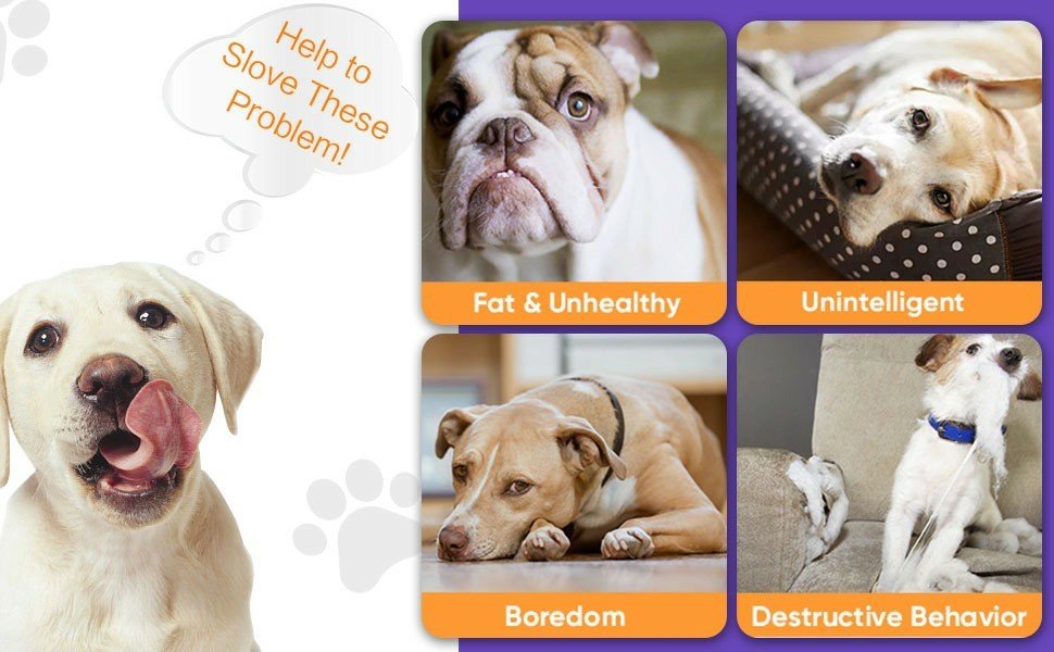 Interactive Dog Toys Ball, Automatic Rolling Toy, Lively Pet Ball For Medium ,Large Dogs To Relieve Boredom, Activated Automatic Motion Dog Balls Toy With LED Flash, USB Rechargeable Orange Purple - Mijn winkel