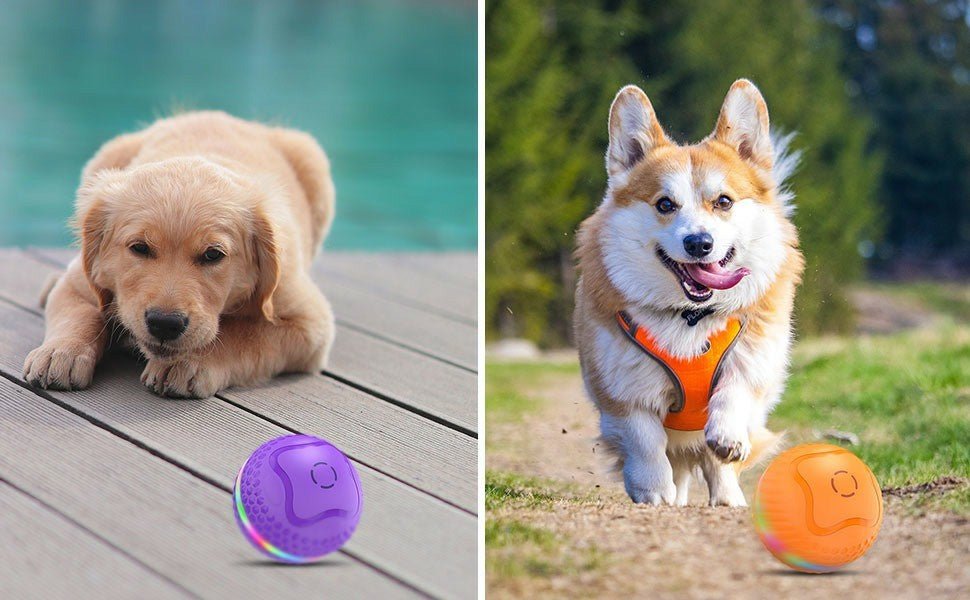 Interactive Dog Toys Ball, Automatic Rolling Toy, Lively Pet Ball For Medium ,Large Dogs To Relieve Boredom, Activated Automatic Motion Dog Balls Toy With LED Flash, USB Rechargeable Orange Purple - Mijn winkel
