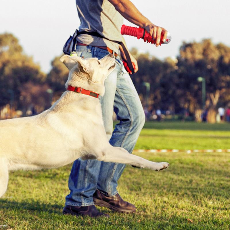 Interactive Toys Designed For Medium And Large Dogs - Mijn winkel
