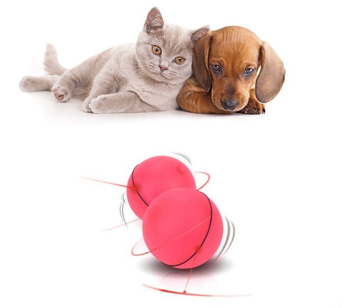 LED Laser Electronic Rolling Pet Funny Cat Toy Ball - Mijn winkel