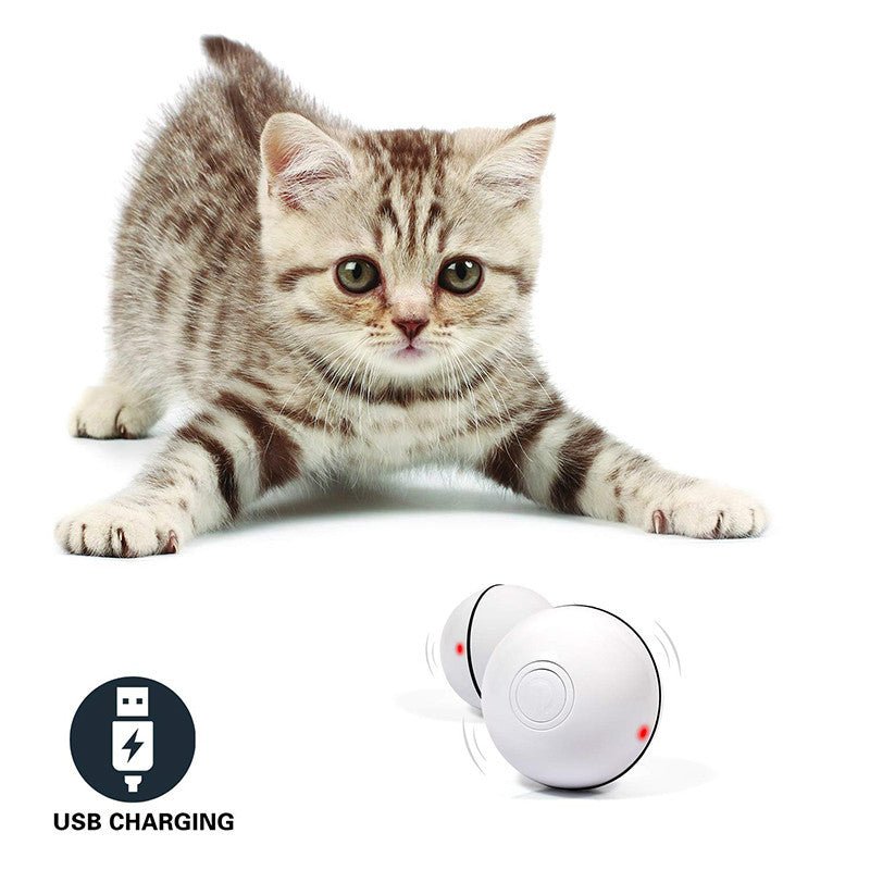 LED Laser Electronic Rolling Pet Funny Cat Toy Ball - Mijn winkel