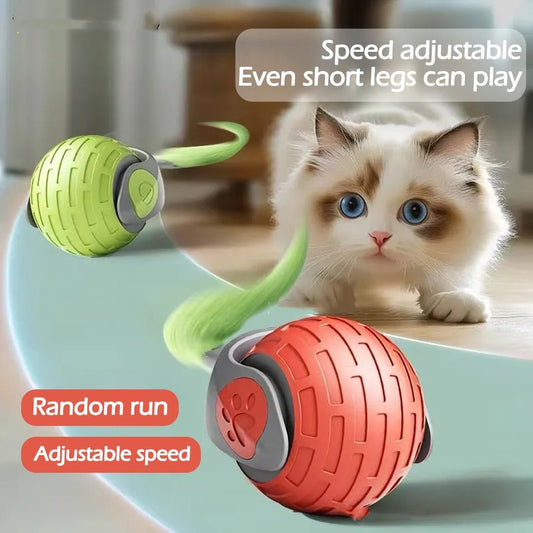 New Interactive Cat Toys Ball Auto Electric Rolling Ball Toys For Cat Kitty Pets Smart Automatic Teaser USB Rechargeable Cat Toy Pet Products - Mijn winkel