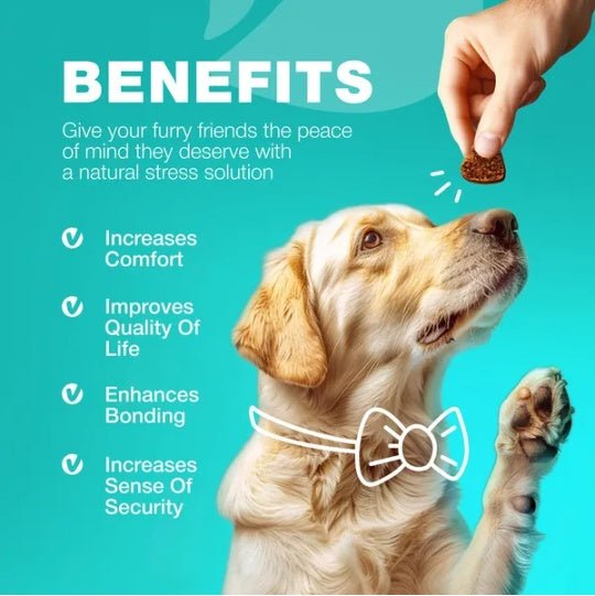 No Poo Chews For Dogs Coprophagia Deterrent For Dogs Forbid For Dogs Stool Eating Deterrent Dog Probiotics For Digestive Health Digestive Gut Immune Health Treats No Poop Eating For Dogs - Mijn winkel