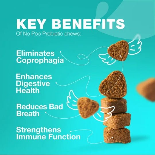 No Poo Chews For Dogs Coprophagia Deterrent For Dogs Forbid For Dogs Stool Eating Deterrent Dog Probiotics For Digestive Health Digestive Gut Immune Health Treats No Poop Eating For Dogs - Mijn winkel