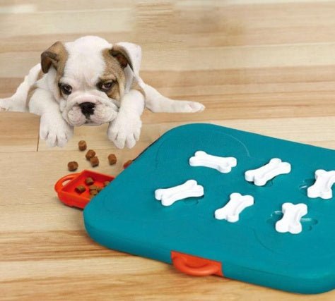 Pet Casino Treasure Hunt Puzzle Food Spill Toy - Mijn winkel