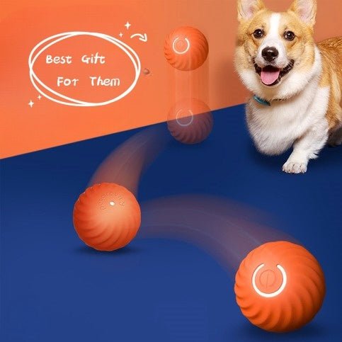 Pet Dog Rubber Ball Toys For Dogs Resistance To Bite Dog Chew Toys Puppy Pets Dogs Training Products - Mijn winkel
