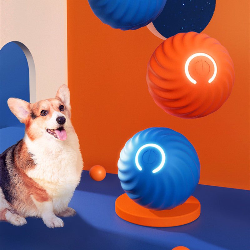 Pet Dog Rubber Ball Toys For Dogs Resistance To Bite Dog Chew Toys Puppy Pets Dogs Training Products - Mijn winkel
