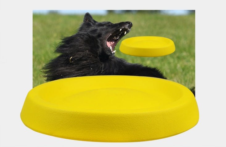 Pet Dogs Throwing Plastic Toys - Mijn winkel