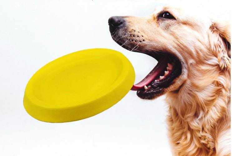 Pet Dogs Throwing Plastic Toys - Mijn winkel