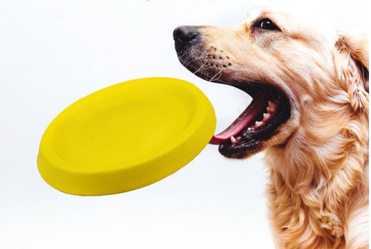 Pet Dogs Throwing Plastic Toys - Mijn winkel