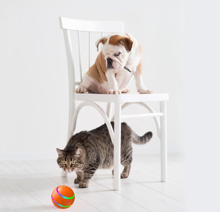Pet New Cat Wicked Ball Toy Intelligent Ball USB Cat Toys Self Rotating Ball Automatic Rotation Ball - Mijn winkel