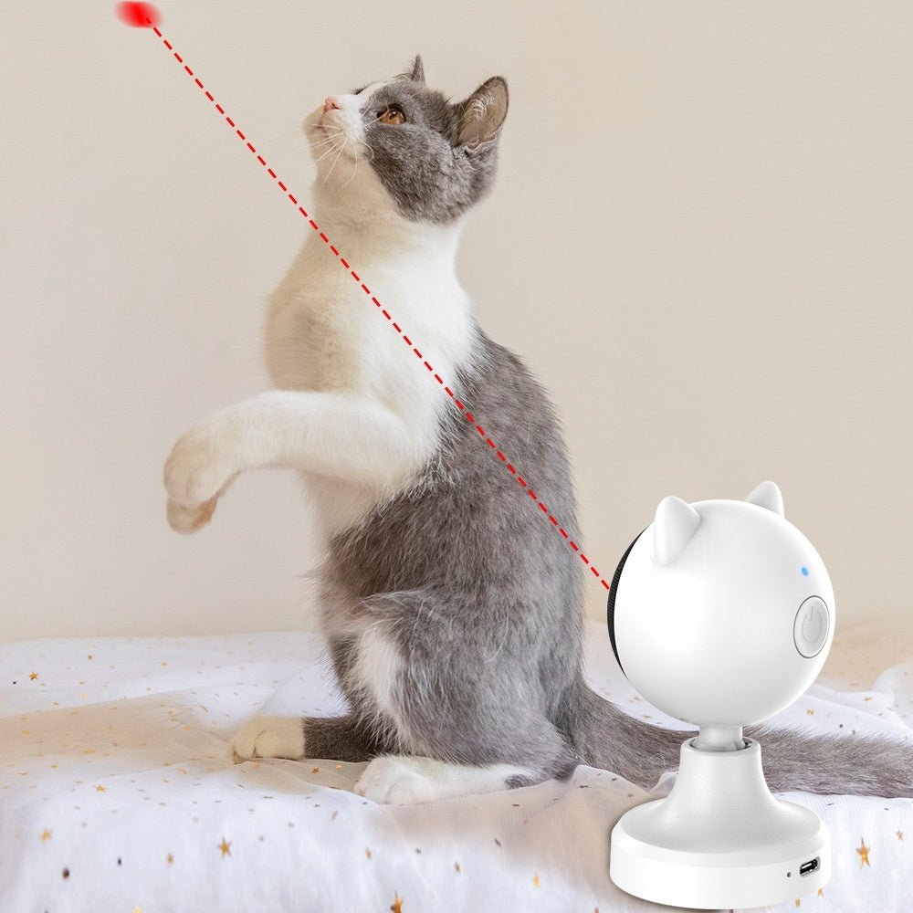 Smart Laser Cat Teaser Toy USB Charging - Mijn winkel