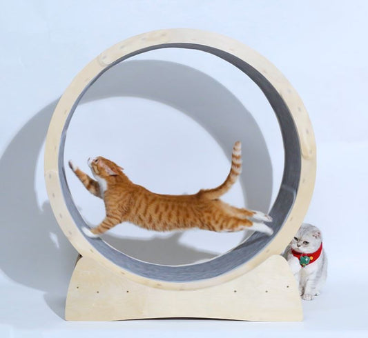 Special Toys For Cat Treadmill Roller - Mijn winkel
